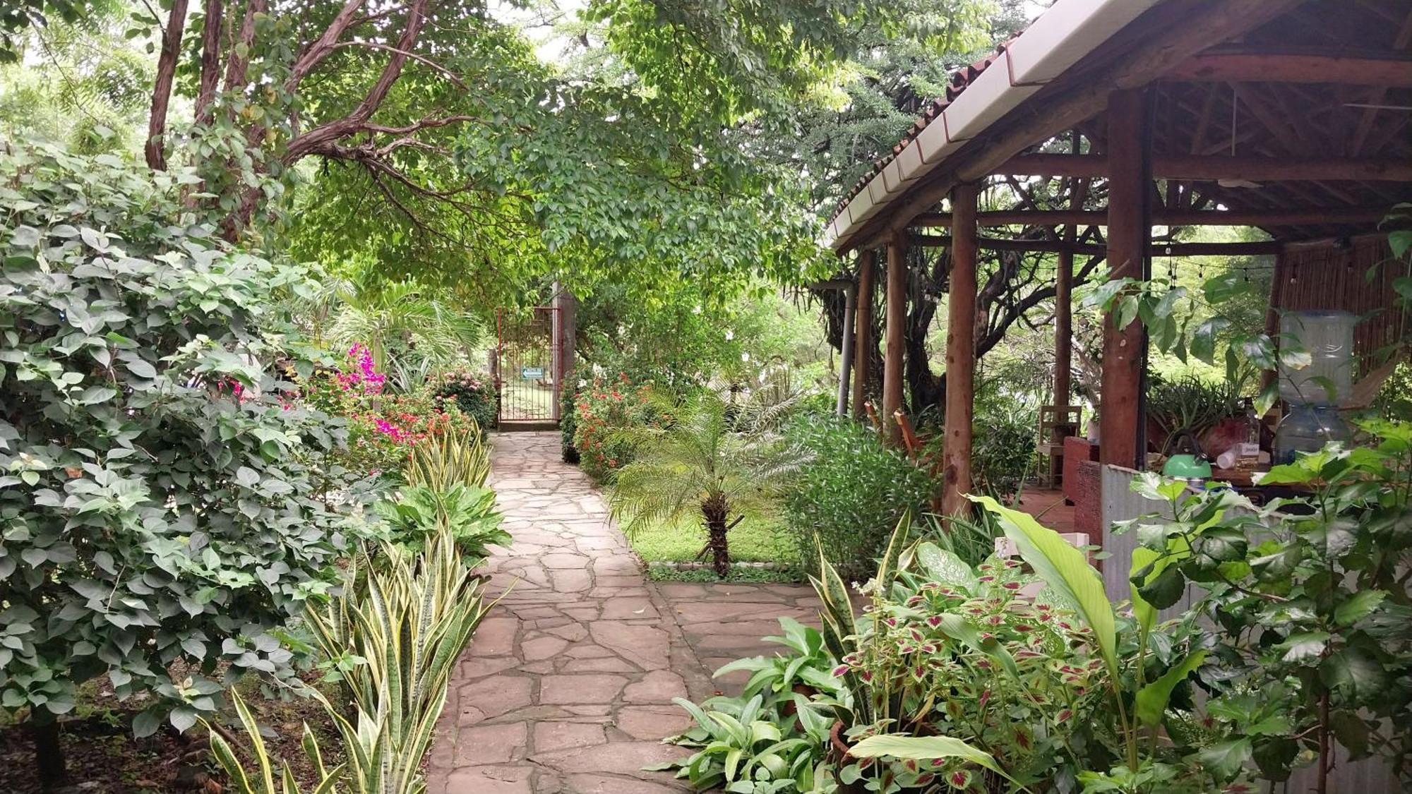 TransitoCasa Todo Bueno住宿加早餐旅馆 外观 照片